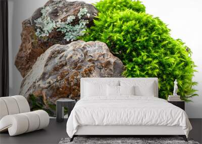 [Transparent Background PNG]Closeup of Moss and Stone Wall mural